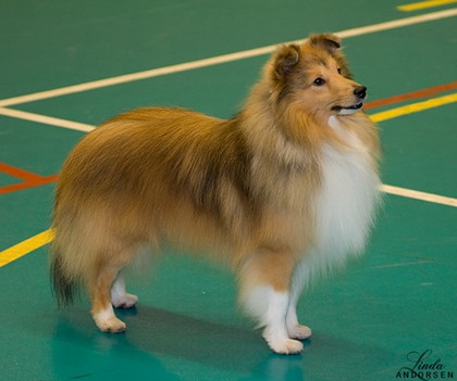 090214_anne3.jpg